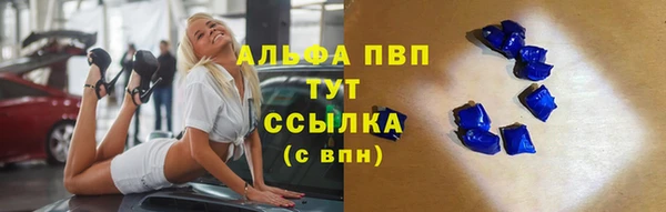 ешки Сясьстрой